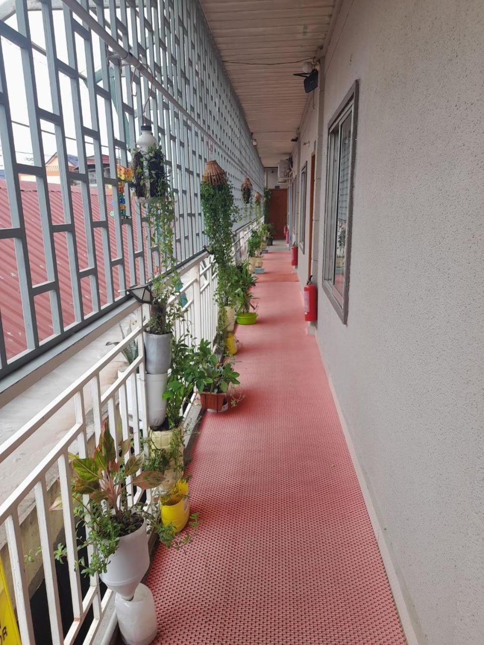 Naraya Guesthouse 金边 外观 照片